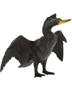 150129 Anhinga