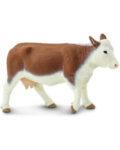 160029 Hereford Cow