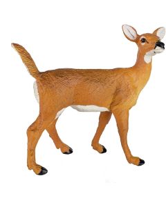 180129 Naw Whitetail Doe