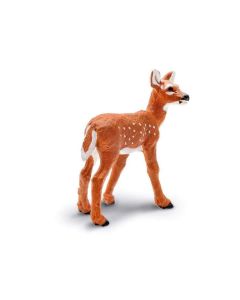 180229 Naw Whitetail Fawn