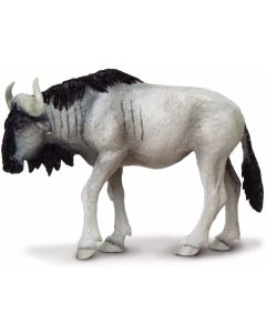 222829 Wildebest