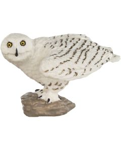 264729 Snowy Owl