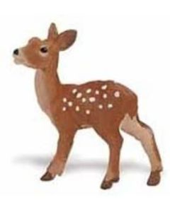 291429 Fawn