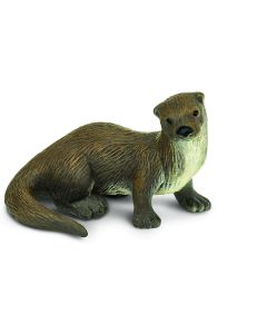 291529 River Otter