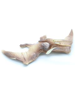 Schleich Dinosaurs 15414 Pteranodon B Carnegie Collection USATO