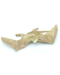 Schleich Dinosaurs 15414 Pteranodon D Carnegie Collection USATO