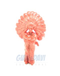 Indiani grandi 02